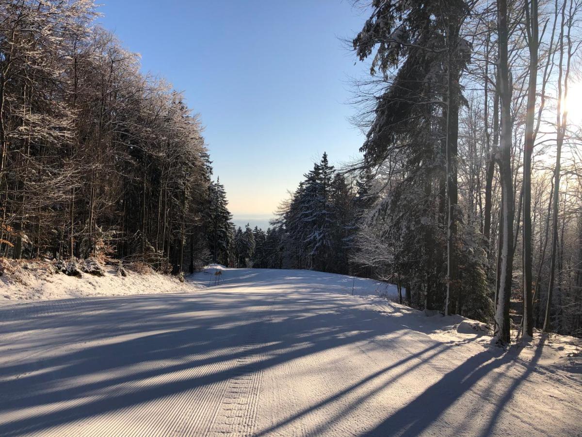 Chalet Anra Pohorje Zgornje Hoce Εξωτερικό φωτογραφία
