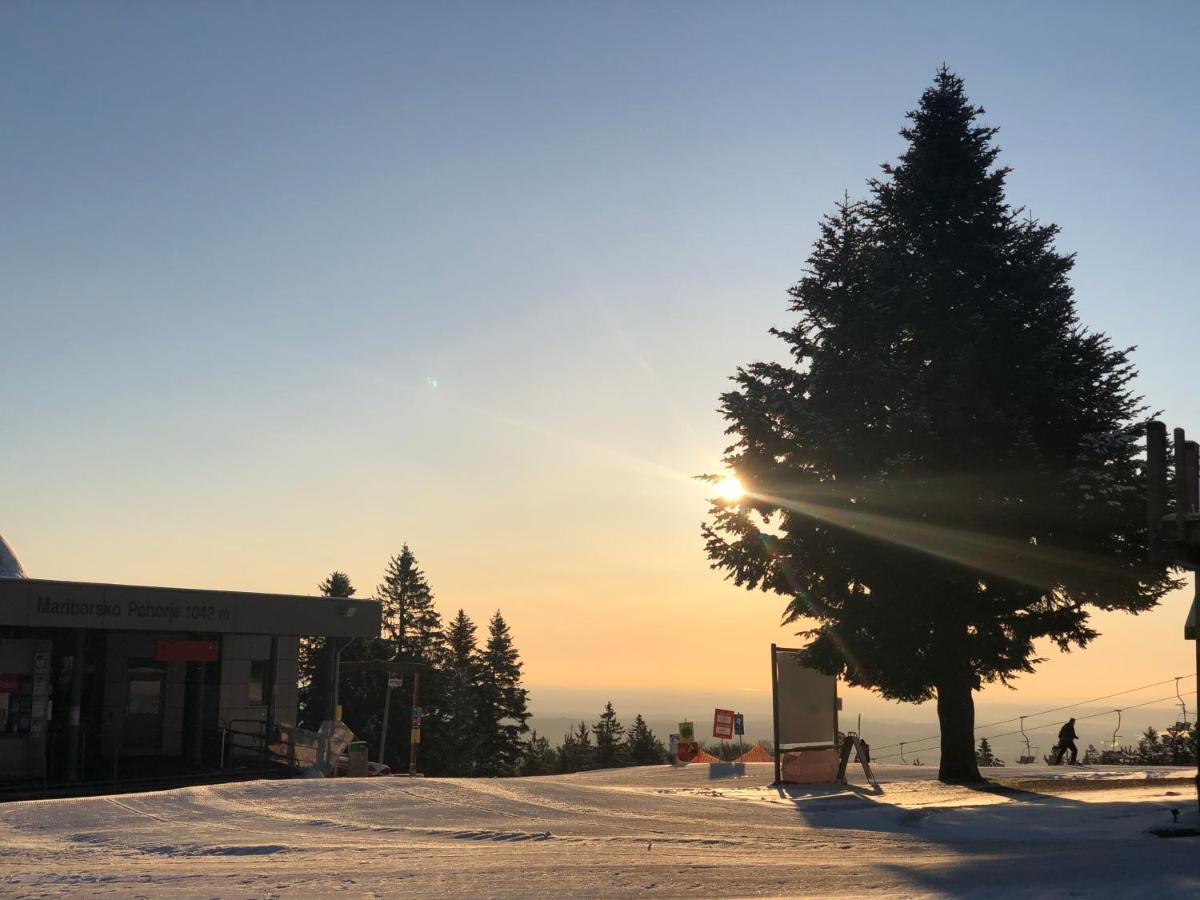 Chalet Anra Pohorje Zgornje Hoce Εξωτερικό φωτογραφία