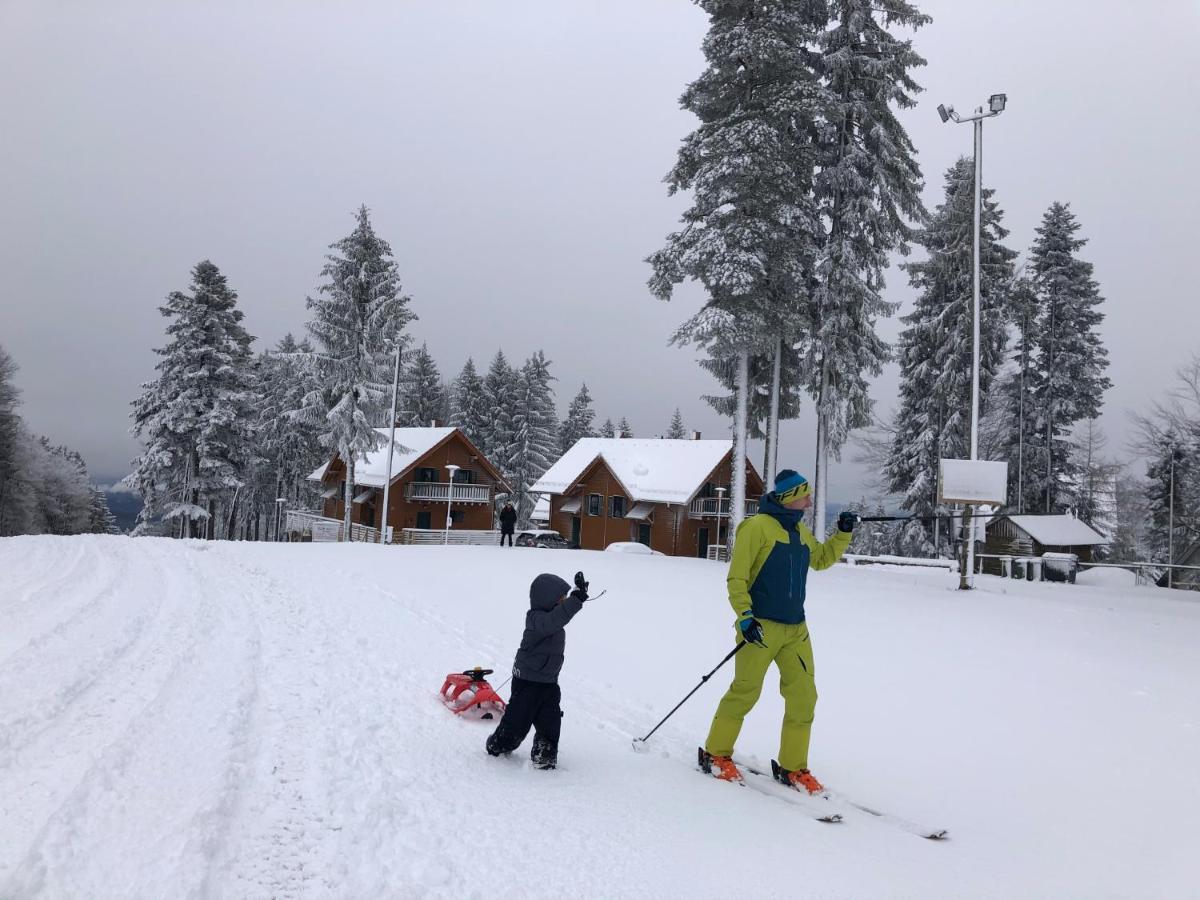 Chalet Anra Pohorje Zgornje Hoce Εξωτερικό φωτογραφία
