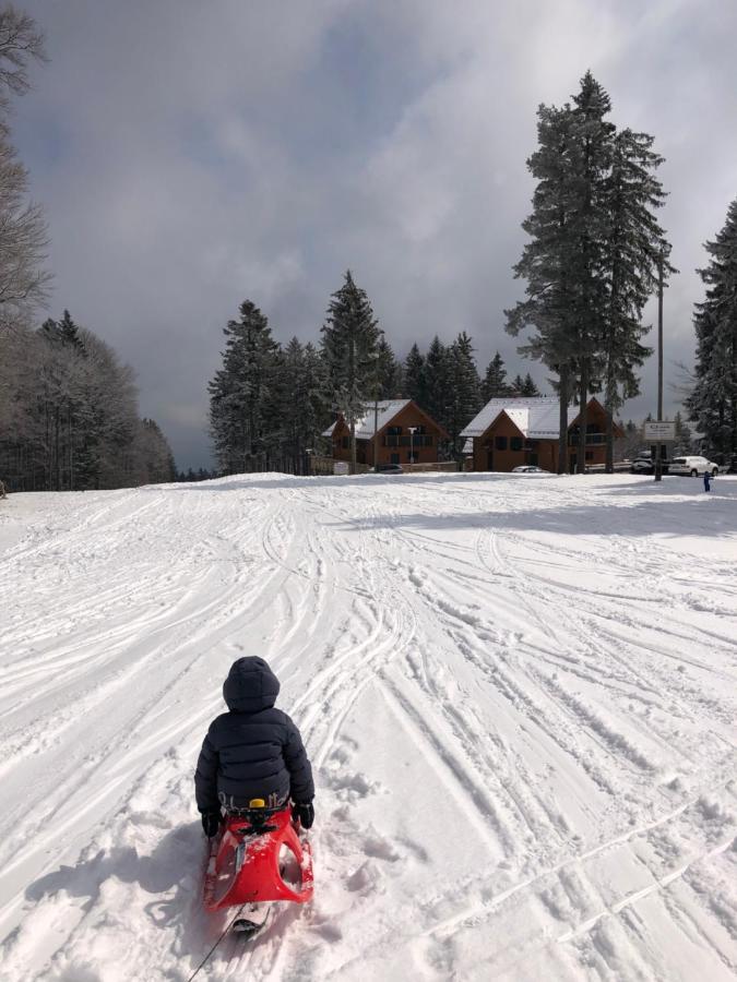 Chalet Anra Pohorje Zgornje Hoce Εξωτερικό φωτογραφία