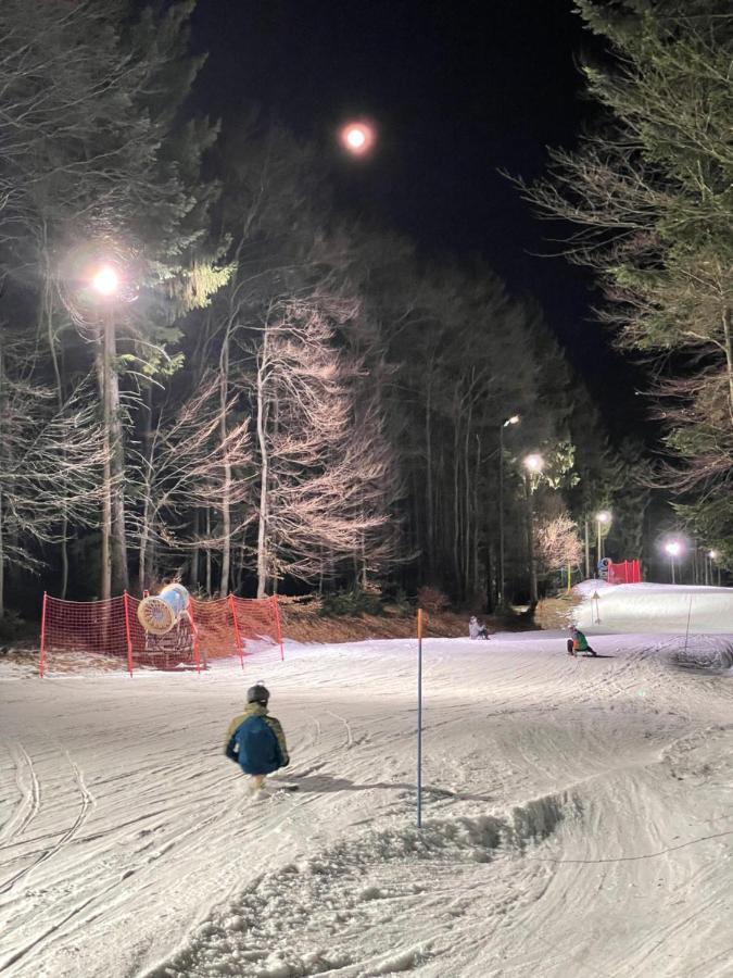 Chalet Anra Pohorje Zgornje Hoce Εξωτερικό φωτογραφία