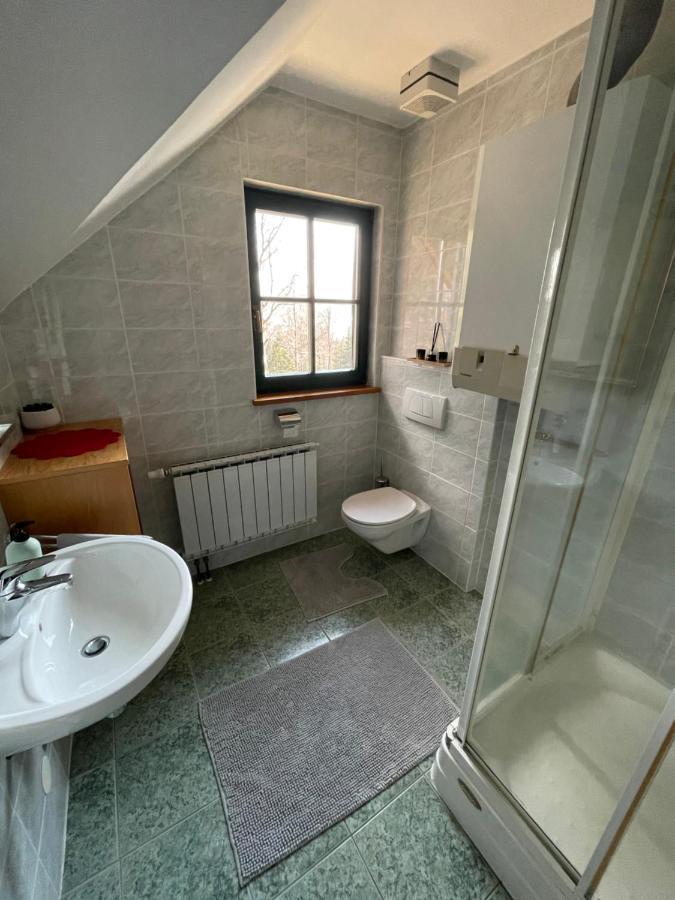 Chalet Anra Pohorje Zgornje Hoce Εξωτερικό φωτογραφία