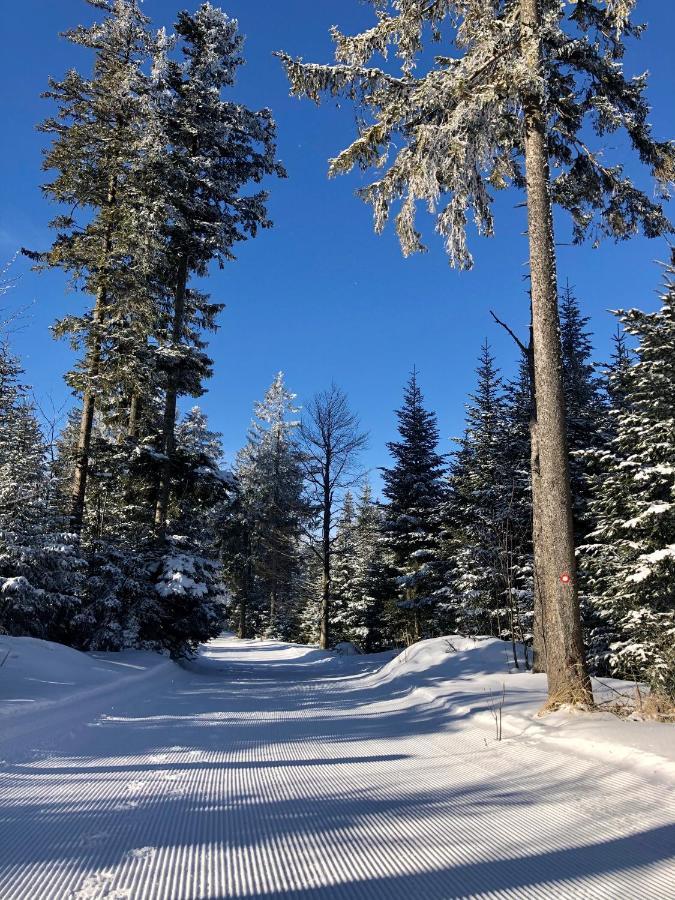 Chalet Anra Pohorje Zgornje Hoce Εξωτερικό φωτογραφία