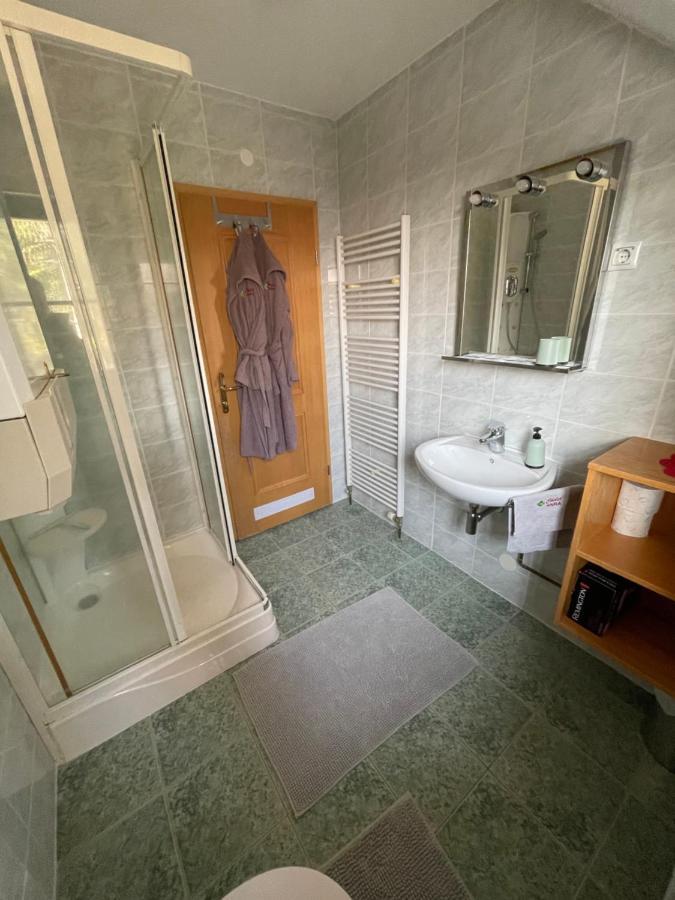 Chalet Anra Pohorje Zgornje Hoce Εξωτερικό φωτογραφία