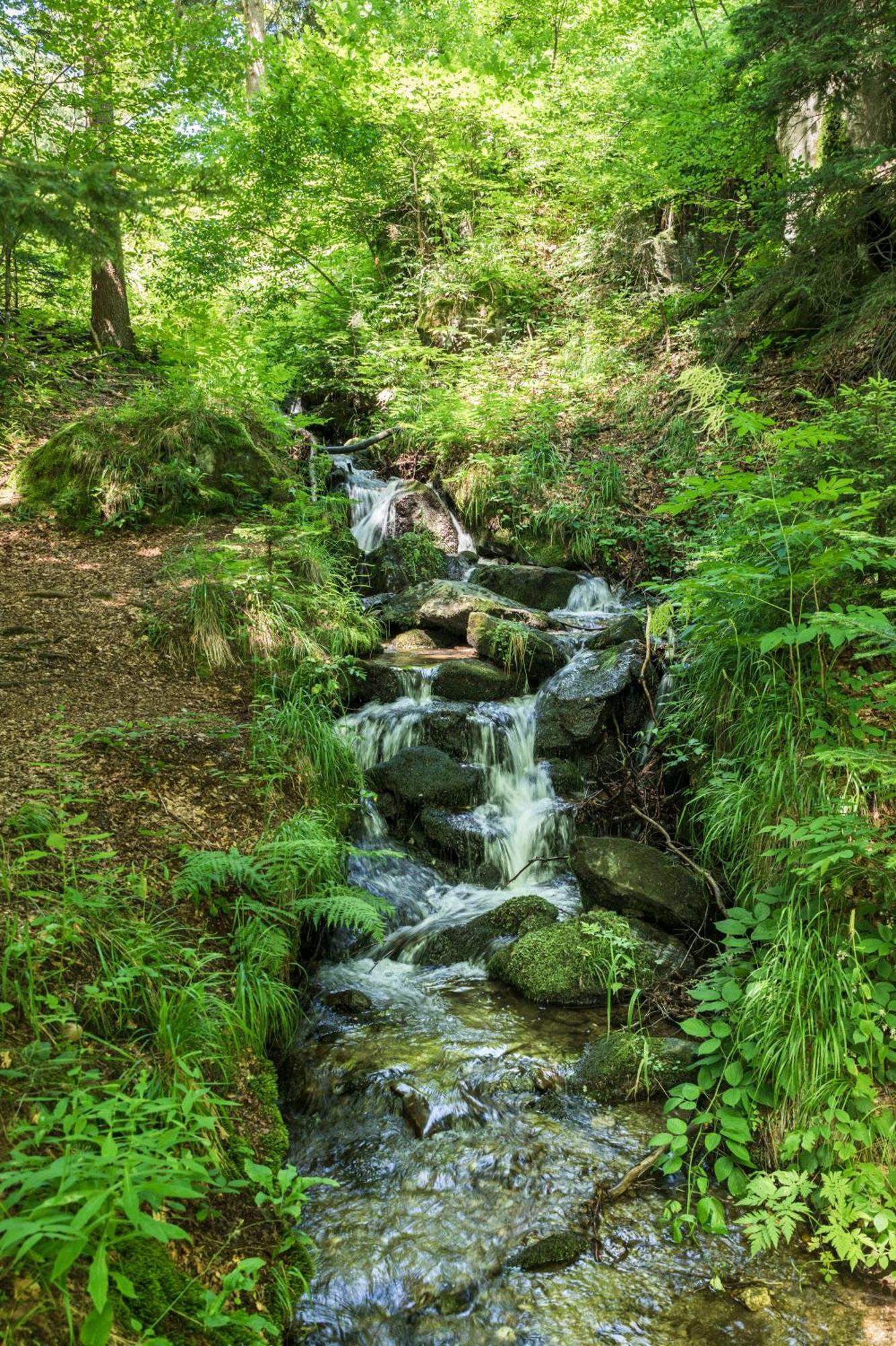 Chalet Anra Pohorje Zgornje Hoce Εξωτερικό φωτογραφία