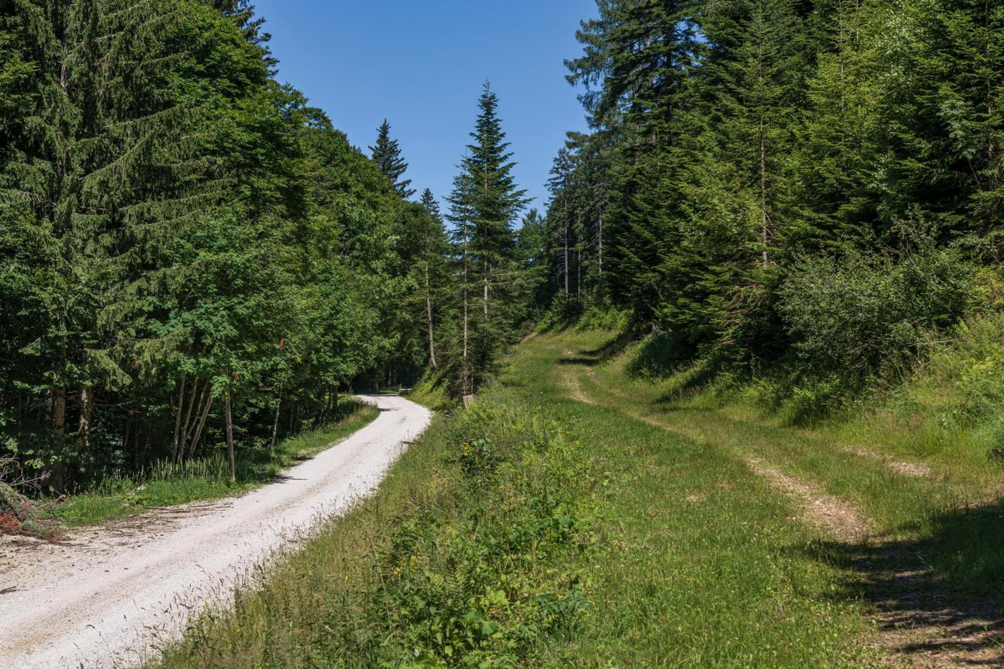 Chalet Anra Pohorje Zgornje Hoce Εξωτερικό φωτογραφία